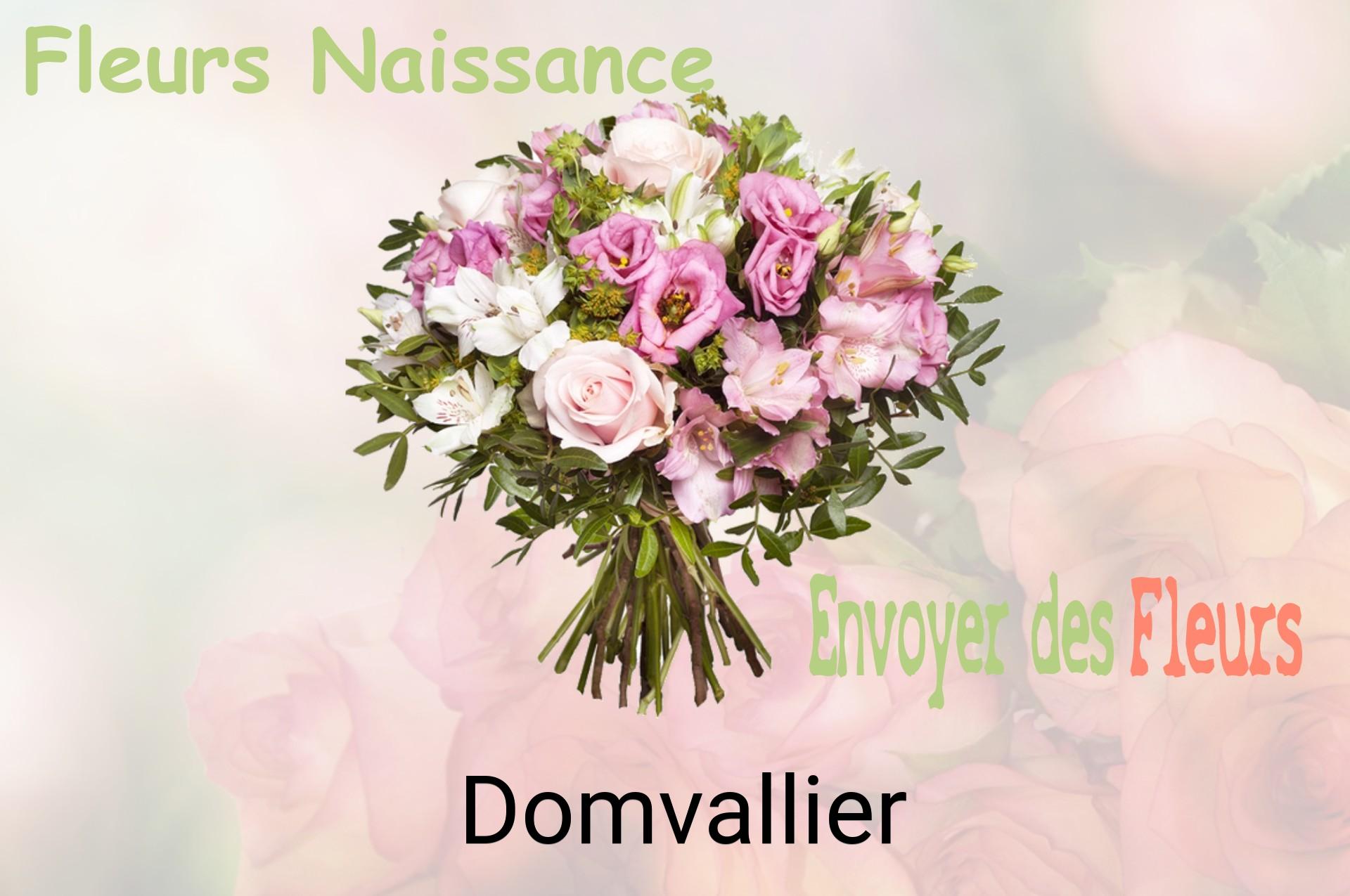 Bouquet de fleurs de naissance livré à Domvallier