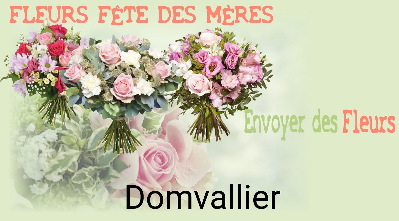 Bouquet de Fête des Mères livré à Domvallier